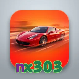 nx303